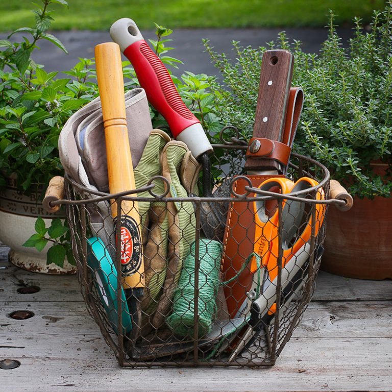 The best tools for the garden