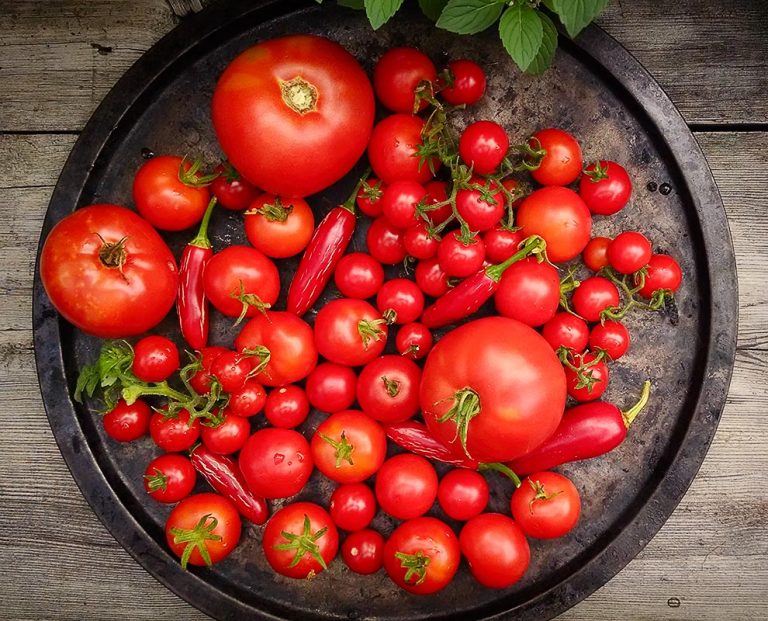Overhead of bright red vegetables on a round, metal tray.