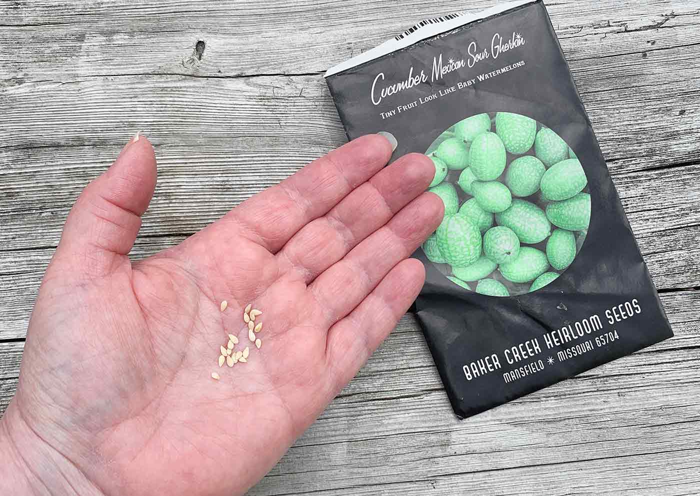 Seeds and seed packet for cucamelon