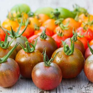 Cherry tomatoes in a rainbow of colors