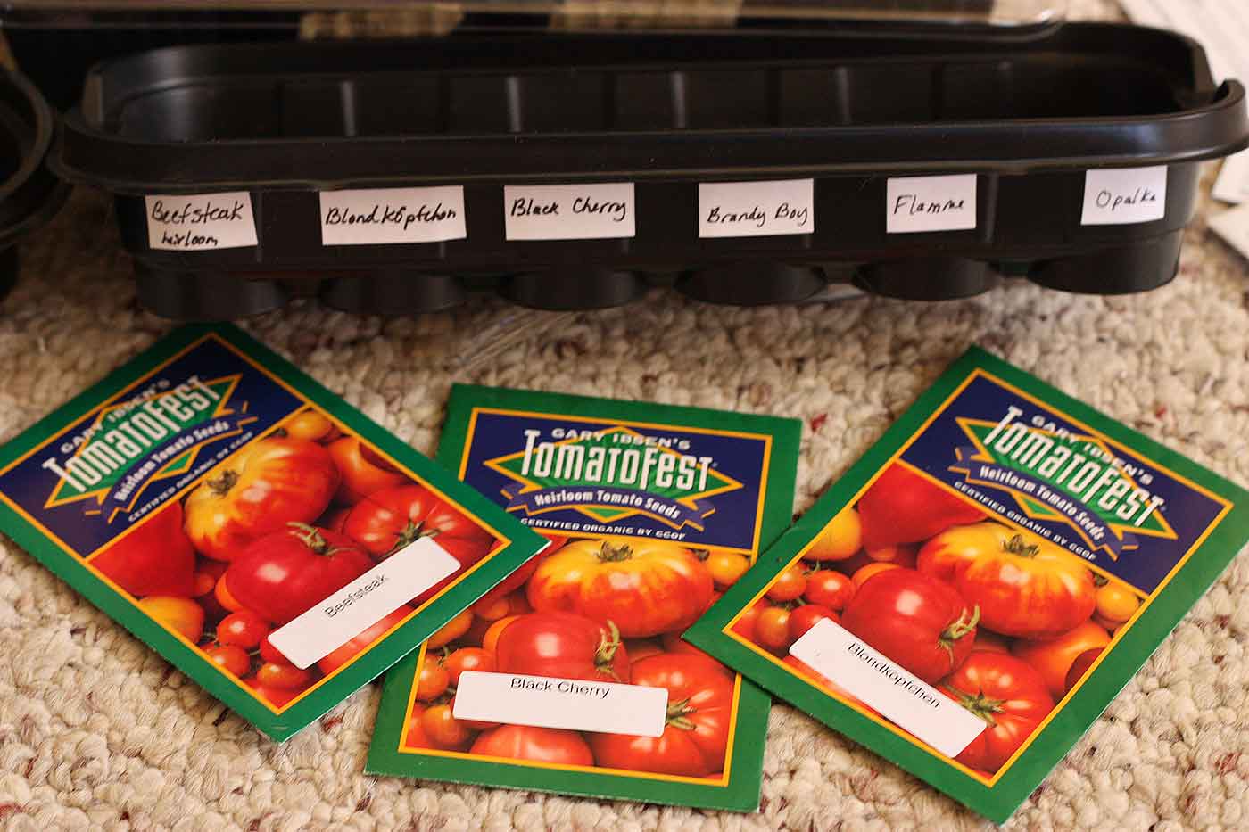 Seed trays and packets of tomato seeds.