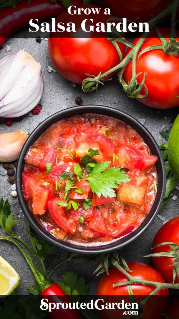 Pinterest image for an article about growing a salsa garden.